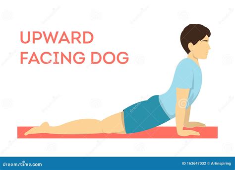 Upward Facing Dog Yoga Pose. Fitness Exercise for Body Stock Vector - Illustration of balance ...