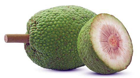 SUNNY BREADFRUIT SUKUN 1 KG – Grand Laguna