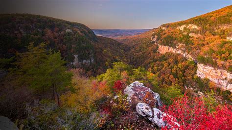 How to See the Best Fall Foliage in Georgia