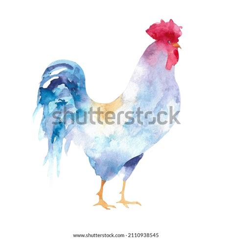 8,593 Blue Rooster Royalty-Free Images, Stock Photos & Pictures | Shutterstock