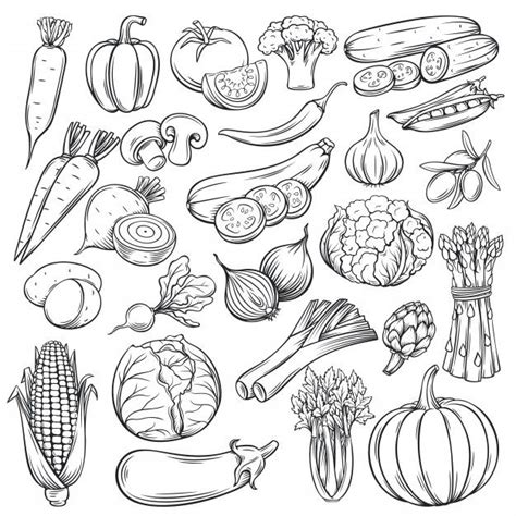 Premium Vector | Hand drawn vegetables icons set | Vegetable drawing ...