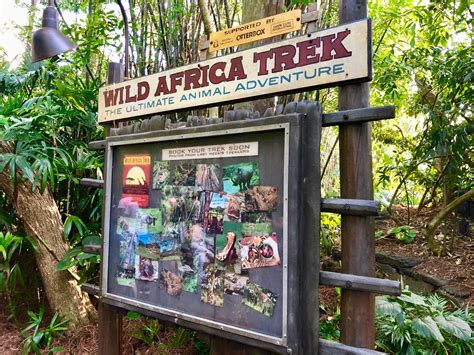 Wild Africa Trek: An Insider Review of Animal Kingdom's Safari Adventure