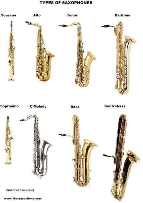 Types Of Saxophones