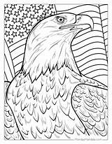 Coloring Pages Bald Eagle And Us Flag sketch template