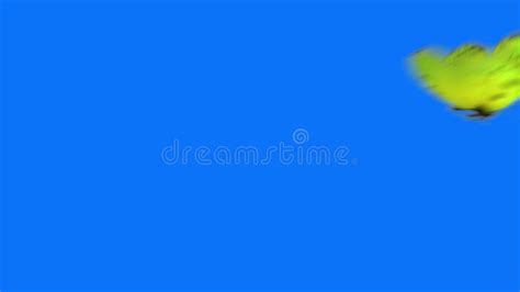 Blue Background Animated with Lightning Bolts and Shining Stock Footage - Video of dynamics ...