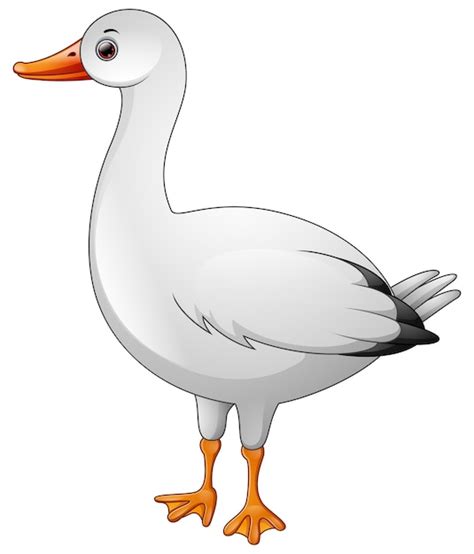 Premium Vector | Cute white goose cartoon