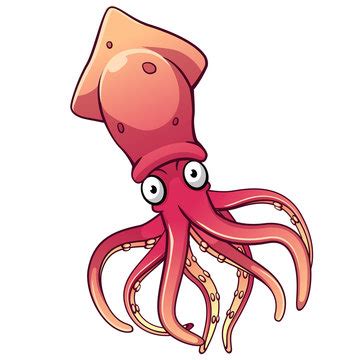 Cartoon Squid Images – Browse 48,717 Stock Photos, Vectors, and Video ...