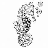 Seahorse Coloring Pages Online – Wikipooster sketch template
