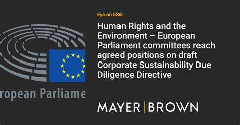 Human Rights and the Environment – European Parliament committees reach ...