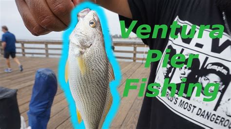 Ventura Pier Fishing! - YouTube