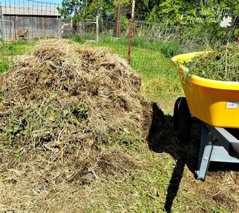 How to Start a Compost Pile in Your Backyard - Oak Hill Homestead