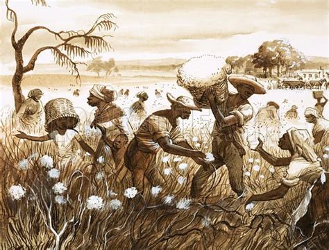 Cotton Plantations Slavery