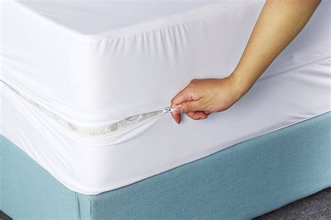 Protect A Bed Buglock Bed Bug Proof Mattress Encasement at Darcy ...