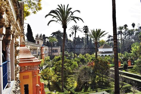 Real Alcázar – Gardens: Gallery of the Grotesque and Charles V Pavilion