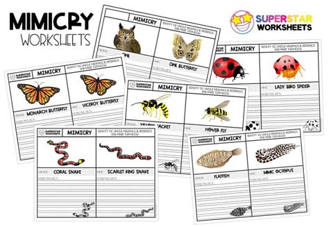 Mimicry Worksheets - Superstar Worksheets