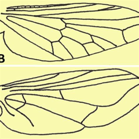 Dipteran Parasites - Encyclopedia of Arkansas