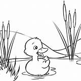 Coloring Duck For Kids Cartoon Graphics  Cute Baby sketch template
