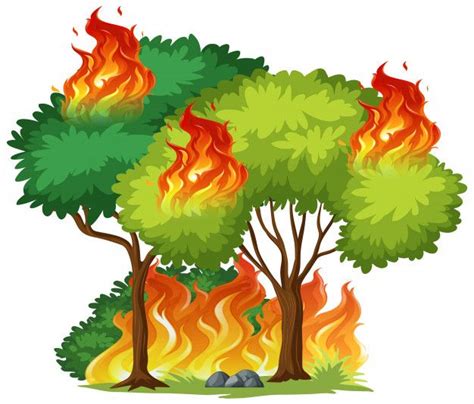 Premium Vector | Isolated tree on fire | Dibujos, Dibujo de arbol, Cómo dibujar cosas