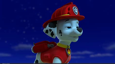 Marshall, the Dalmatian - PAW Patrol Photo (40125863) - Fanpop