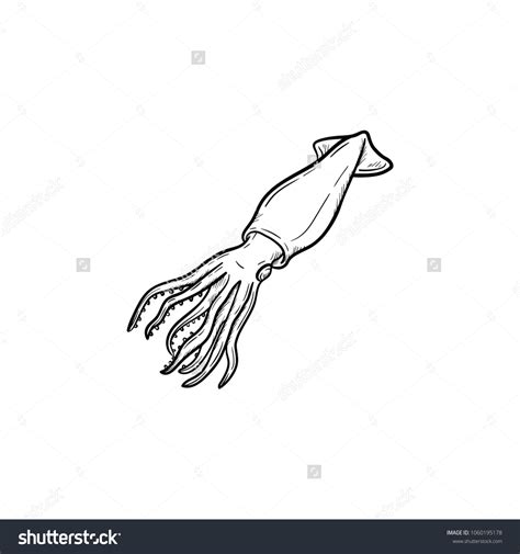 Squid Hand Drawn Outline Doodle Icon Stock Vector (Royalty Free ...