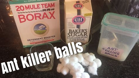 Safe ant killer using BORAX SUGAR COTTON BALLS & H2o - YouTube