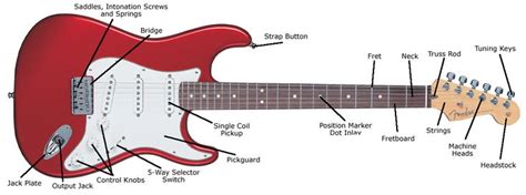 Electric Guitar Buying Guide | Electric guitar, Cool electric guitars, Guitar