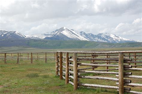 Walden, Colorado, and the surrounding country is an amazing place for birding. One of our ...