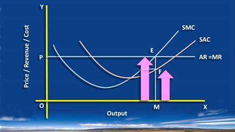 Perfect Competition Equilibrium Output