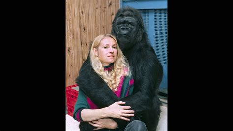 Koko - The Gorilla Who Talks | PBS Programs | PBS