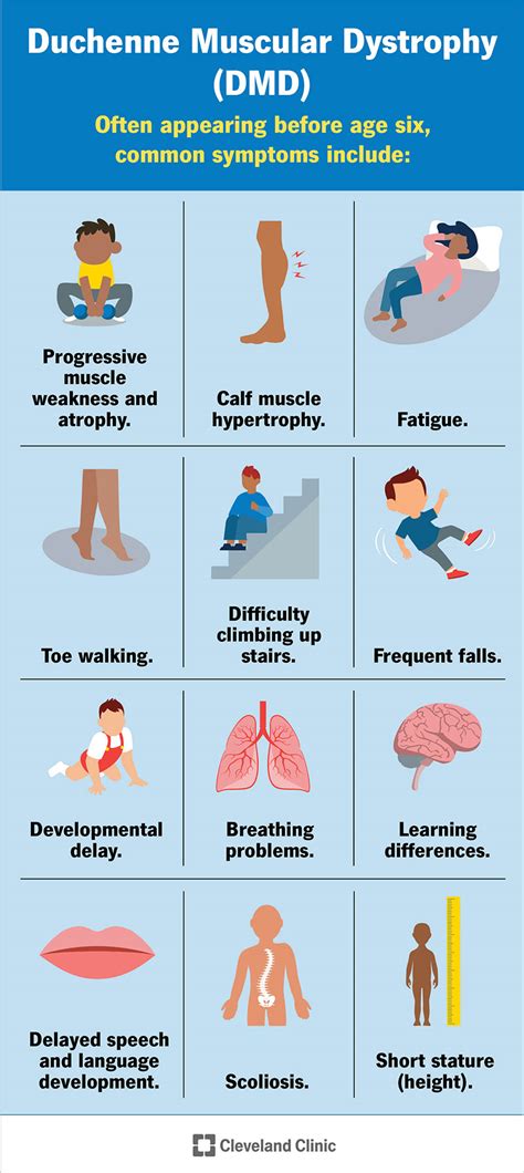 Duchenne Muscular Dystrophy (DMD): Symptoms & Treatment