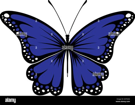 butterfly design isolated on white background in vector format very easy to edit, individual ...