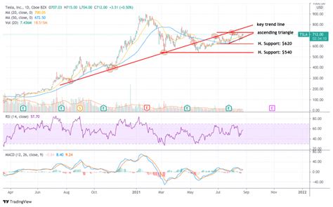 Tesla Stock Forecast 2025 Cnn - Sean Winnie