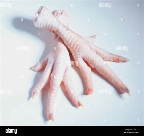 Food feet foot toes claw claws talon talons gross anatomy chicken Stock ...