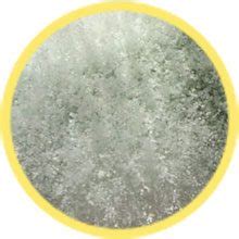 Types of Mold - White, Pink, Green and Yellow Mold