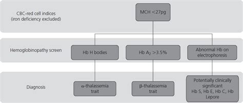 Hematologic disease in pregnancy | Obgyn Key