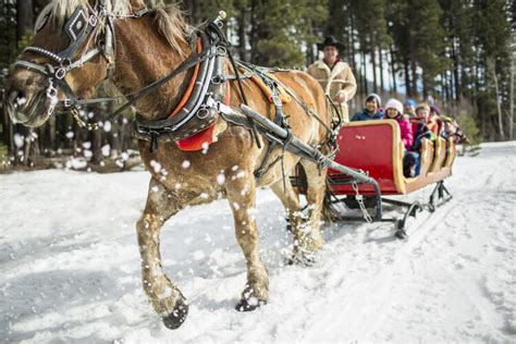 Sleigh Rides Lake Tahoe | Incline Village | South Lake Tahoe