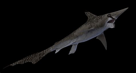 ArtStation - Helicoprion | Game Assets