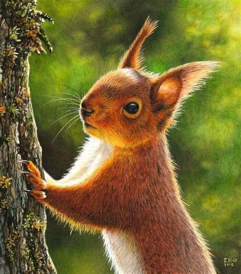 Red Squirrel Painting by EsthervanHulsen on DeviantArt