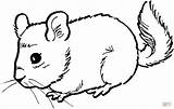 Cute Mouse coloring Page  Free Printable Coloring Pages sketch template