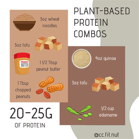 Plant Protein Foods Examples - Foods Details