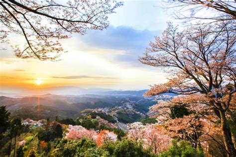 Mount Yoshino |Sightseeing | Times of India Travel