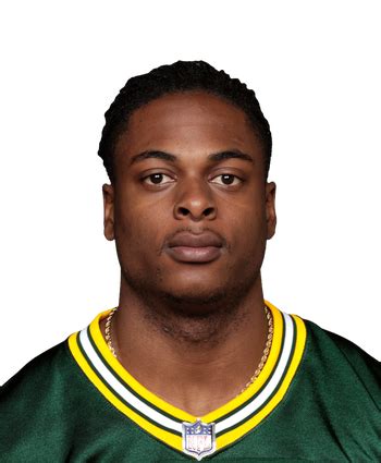 Davante Adams NFL Stats - Season & Career Statistics | FOX Sports