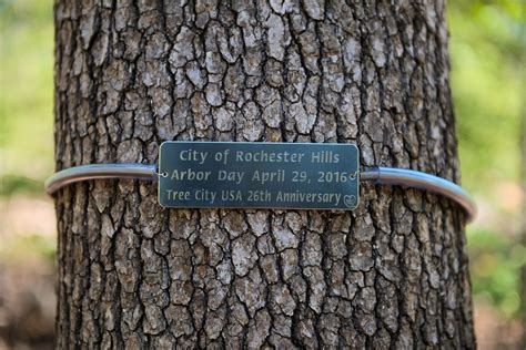 The ORIGINAL Tree Plaque! Safe & Gentle Tree Hugger-Tree Tag $54.95 ...