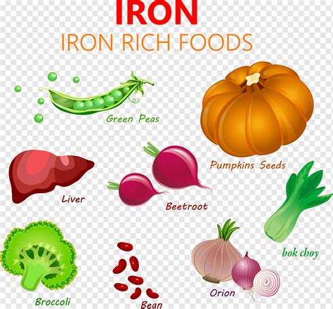 Iron rich food, nutrition, vegetables, png | PNGWing