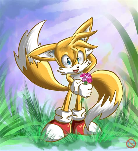 CE: Tails the fox by shadowhatesomochao on DeviantArt