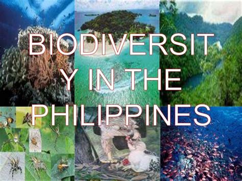 Biodiversity in the philippines