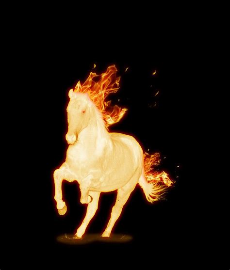 Fiery horse Photograph by Lukasz Szczepanski