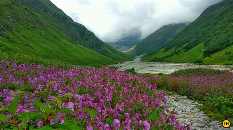 Valley of Flowers Open to Trekkers from July 1st