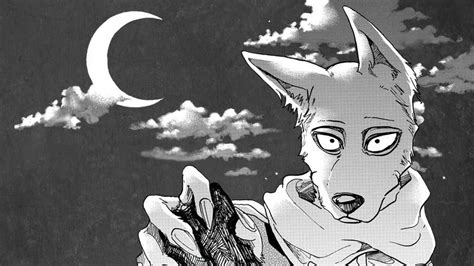 Download Beastars Shaved Legosi Wallpaper | Wallpapers.com