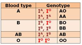 Codominance - Biology Notes for IGCSE 2014